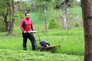 Cositoare cu tambur VARI DS-521 AGATHA motor 4.8 CP Honda latime taiere 58.5 cm 4 lame ghidon reglabil viteza 2 km/h