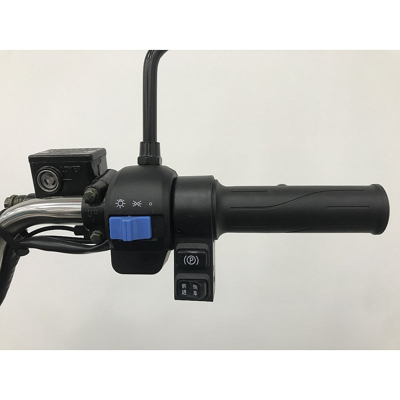 Tricicleta electrica RDB XL-Klass4 cu bena rabatabila hidraulic fara permis 4000W 25 km/h 72V45Ah autonomie 70 km culoare verde