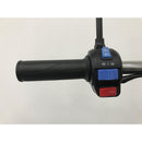 Tricicleta electrica RDB XL-Klass4 GRANDE cu bena rabatabila hidraulic manual fara permis 4000W 25 km/h 72V45Ah autonomie 70 kmculoare rosu