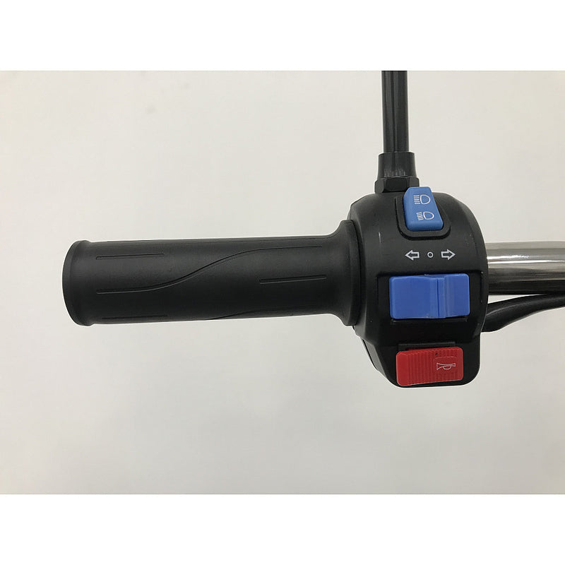 Tricicleta electrica RDB XL-Klass4 cu bena rabatabila hidraulic fara permis 4000W 25 km/h 72V45Ah autonomie 70 km culoare gri