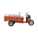 Tricicleta electrica RDB XL-Klass4 GRANDE cu bena rabatabila manual fara permis 4000W 25 km/h 72V45Ah autonomie 70 km culoare verde