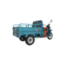 Tricicleta electrica RDB XL-Klass4 GRANDE cu bena rabatabila manual fara permis 4000W 25 km/h 72V45Ah autonomie 70 km culoare gri
