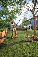 Emondor de inaltime pe acumulator STIHL HTA 30 sistem AS putere 0.45 kW lungime sina 20 cm pas lant 1/4"P set cu 2 acumulatori AS 2 si incarcator ALS 31