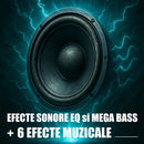 Boxa portabila Samus Fiesta 12 100 W Bluetooth USB slot card SD Aux in radio FM intrare microfon functie True Wireless Stereo negru microfon inclus telecomanda