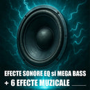 Boxa portabila Samus Phoenix 15 120 W Bluetooth USB slot card TF Aux in radio FM intrare microfon functie True Wireless Stereo functie inregistrare negru microfon inclus telecomanda