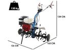 Motocultor AGT 13000 PREMIUM motor HONDA GX390 13 CP freza segmentabila 120 cm roti cauciuc rarita fixa