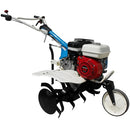 Motosapa AGT 5580 motor Honda GX200 6.5 CP latime lucru 80 cm 2+1 viteze freze rarita fixa roti cauciuc 4.00-8 roti metal cultivator 2.6l ulei