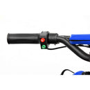 ATV electric Hecht 54801, acumulator 36 V, 12 Ah, 25 k/h, capacitate 60 kg display digital