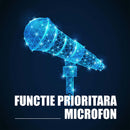 Boxa portabila Samus Phoenix 15 120 W Bluetooth USB slot card TF Aux in radio FM intrare microfon functie True Wireless Stereo functie inregistrare negru microfon inclus telecomanda