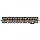 Incubator automat 20 oua Ryaba EU PROFI 20