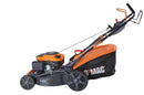 Masina gazon O'Mac MG 650 motor 6.5 CP latime lucru 51 cm autopropulsata volum cos 60 l