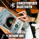 Boxa portabila Samus Phoenix 15 120 W Bluetooth USB slot card TF Aux in radio FM intrare microfon functie True Wireless Stereo functie inregistrare negru microfon inclus telecomanda