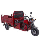 Tricicleta electrica Rotakt Guliver putere 2000W viteza 25 km/h autonomie 68 km baterie Plumb-Acid 72V/58Ah greutate admisa 617kg fara permis - verde