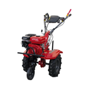 Motocultor Rotakt Titan RO110RV motor 8 CP 212 cmc benzina 2+1 viteze latime lucru 56-90 cm freze roti cauciuc 5.00-8"