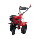 Motocultor Rotakt Titan RO110RV motor 8 CP 212 cmc benzina 2+1 viteze latime lucru 56-90 cm freze roti cauciuc 5.00-8" 3l ulei