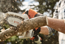 Fierastrau STIHL GTA 26 putere 0.18 kW lama 10 cm pas lant 1/4" sistem AS-GTA 26 Set cu 1 acu si inc. + extensie telescopica