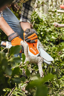 Fierastrau STIHL GTA 26 putere 0.18 kW lama 10 cm pas lant 1/4" sistem AS-GTA 26 Set cu 1 acu si inc. + extensie telescopica