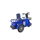 Tricicleta electrica RDB SINOE PRO fara permis 1160W 25km/h gri