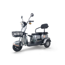 Tricicleta Electrica RDB A2 1000W fara permis 25km/h gri