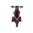 Tricicleta electrica RDB Rabbit 1000W 25 km/h fara permis 2022 gri