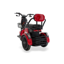 Tricicleta electrica RDB Rabbit 1000W 25 km/h fara permis 2022 gri