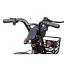 Tricicleta electrica RDB G-Klass fara permis 1000W 25 km/h negru