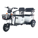 Tricicleta electrica RDB G-Klass fara permis 1000W 25 km/h gri