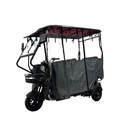 Tricicleta electrica RDB LONG cu acoperis si prelata fara permis 1800W 25km/h gri