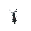 Scuter Electric RDB ROMA 600W fara permis 25km/h rosu