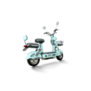 Scuter Electric RDB PARIS 600W fara permis 48V 20Ah 25km/h auriu