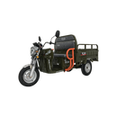 Tricicleta electrica RDB X-Klass4 3500W Fara permis 25 km/h verde