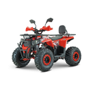ATV RDB AY125 125cc Racire pe Aer 4 Timpi alb