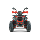 ATV RDB AY125 125cc Racire pe Aer 4 Timpi negru