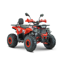 ATV RDB AY125 125cc Racire pe Aer 4 Timpi negru