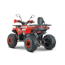 ATV RDB AY125 125cc Racire pe Aer 4 Timpi negru