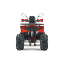 ATV RDB AY125 125cc Racire pe Aer 4 Timpi rosu