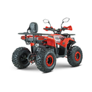 ATV RDB AY125 125cc Racire pe Aer 4 Timpi alb