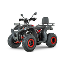 ATV RDB AW200 180cc Racire pe aer 4 Timpi-Verde