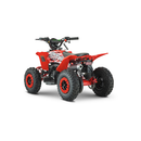 ATV RDB AV49 49cc Racire pe aer 2 Timpi alb