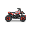 ATV RDB AV49 49cc Racire pe aer 2 Timpi negru