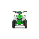 ATV RDB FV1000 800W 36V 12 Ah 25 km/h alb