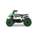 ATV RDB FV1000 800W 36V 12 Ah 25 km/h negru