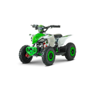 ATV RDB FV1000 800W 36V 12 Ah 25 km/h alb