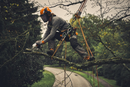 Fierastrau STIHL GTA 40 lama 15 cm pas lant 1/4"P carcasa plastic sistem AS cu 2 x acumulatori AS 2 si incarcator rapid AL 5-2