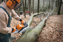 Motofierastrau STIHL MS 391 putere 3.3Kw lama 40cm pas lant 3/8" + ulei amestec 2T 1L + ulei forest plus 2L + extra lant + extra sina + pila lant