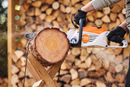Motofierastrau STIHL MSA 80.0 C-B putere 1.2 kW pas lant 1/4" sistem AK cu acumulator AK 30 si incarcator AL 101