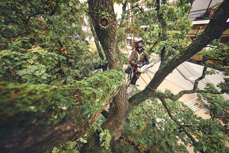 Motofierastrau cu acumulator STIHL MSA 220.1 T 36 V lama 35 cm 1.3mm  3/8" PS sistem AP fara acumulator si incacator