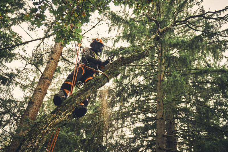 Motofierastrau cu acumulator STIHL MSA 220.1 T 36 V lama 35 cm 1.3mm  3/8" PS sistem AP fara acumulator si incacator