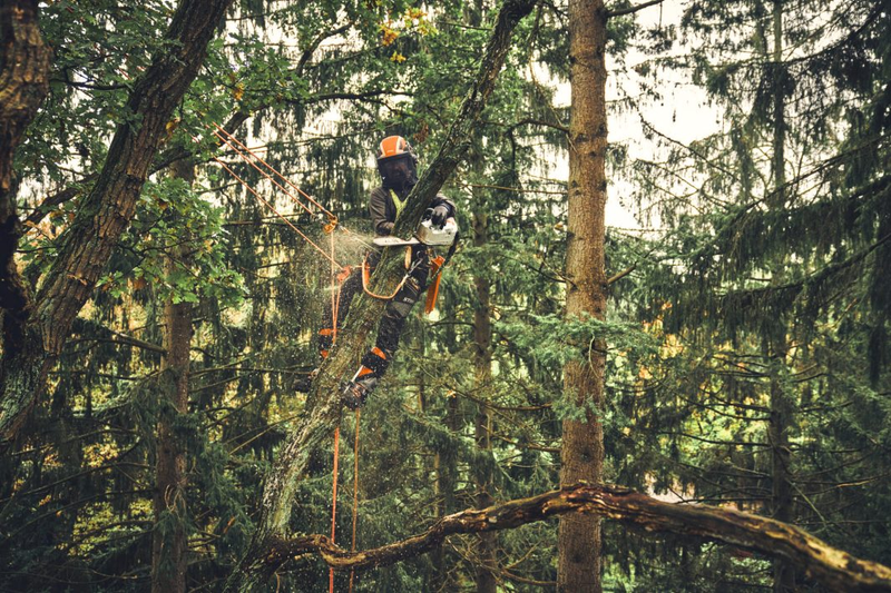 Motofierastrau cu acumulator STIHL MSA 220.1 T 36 V lama 35 cm 1.3mm  3/8" PS sistem AP fara acumulator si incacator