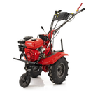 Motocultor Rotakt Gardian RO110RVE pornire electrica motor 8CP 212 cmc benzina 2+1 viteze latime lucru 56-90 cm freze roti cauciuc 5.00-8" roti metal plug arat rarita reglabila 3l ulei